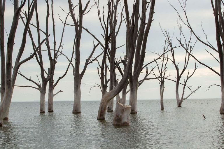 Murió Pablo Novak, último habitante de Epecuén 20240122