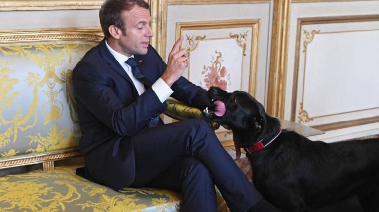 emmanuel macron perro 05222019