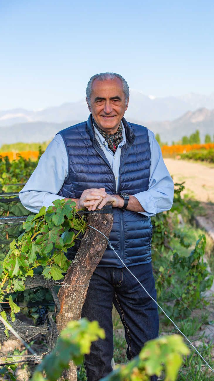 Bodega Alta-Yarí 20230913