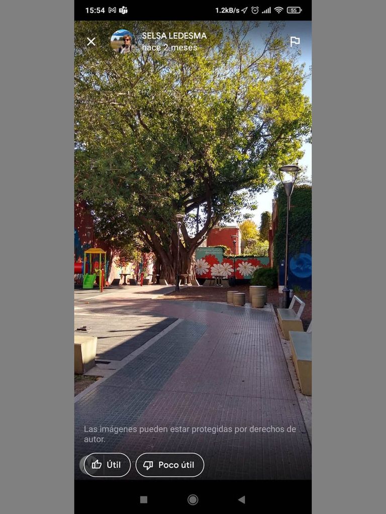 Gomero Plaza Gurruchaga 20210805