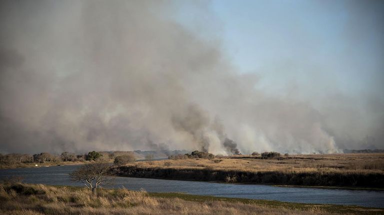 Incendios en el Delta del Paraná 20220816