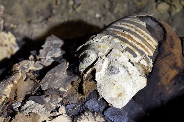 Más de 40 momias que serían de una familia de la pequeña burguesía.