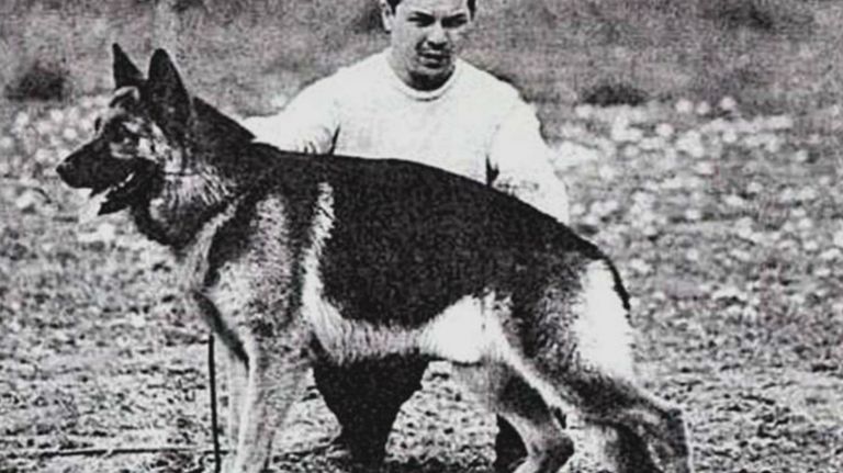 Chonino, el héroe que inspiró el Día Nacional del Perro en Argentina