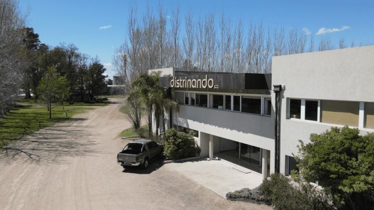 NEGOCIOS