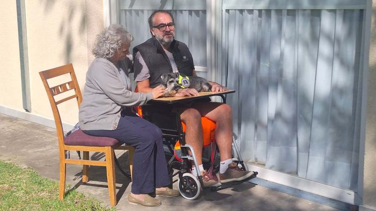 Perros y tercera edad