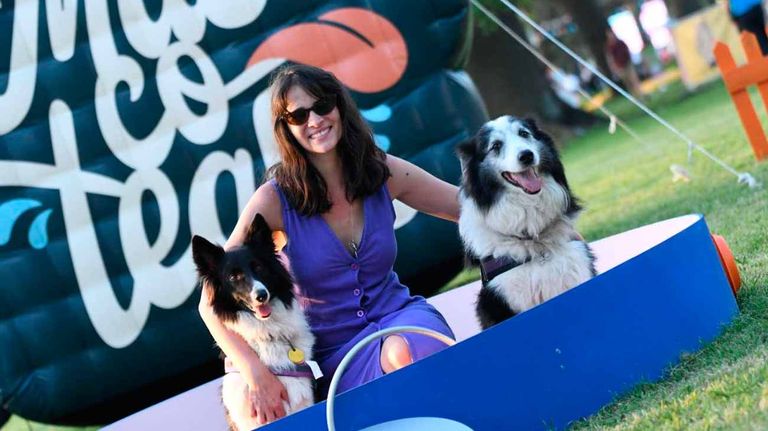 La Ciudad impulsa una ley para que cada perro y gato tenga un número único de identificación