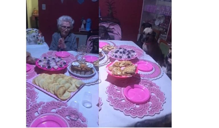 María, la abuela que festejó su cumpleaños con sus diez perros
