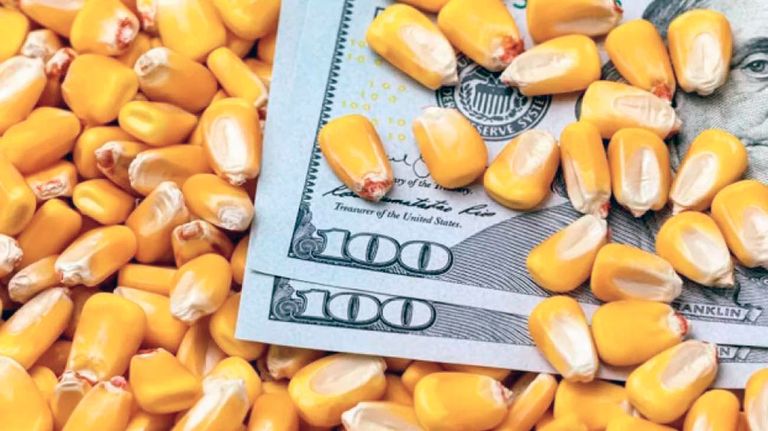 20230729_dolares_campo_commodities_cedoc_g