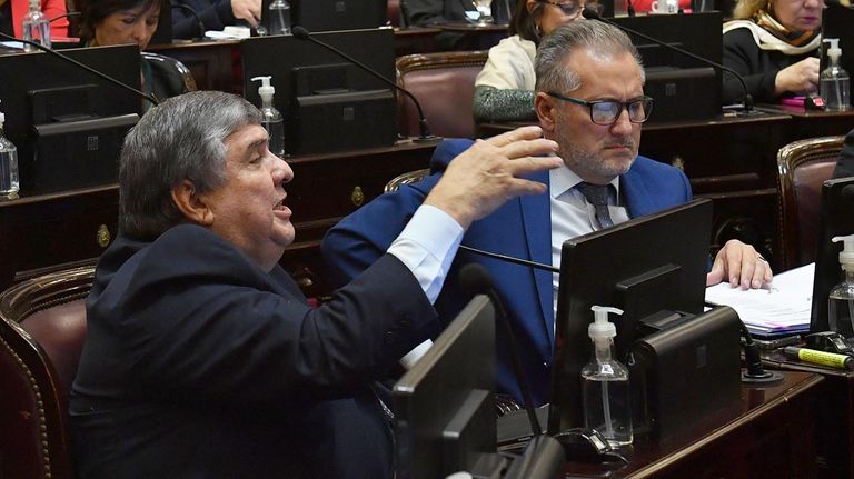 Sesión Pública Especial en el Senado de la Nación 20220512