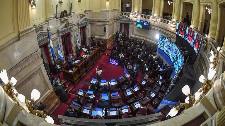 Sesión del senado-20210819