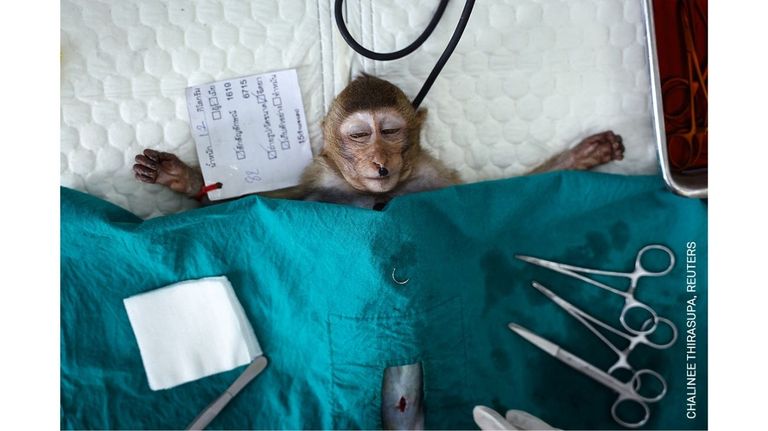 World Press Photo Contest