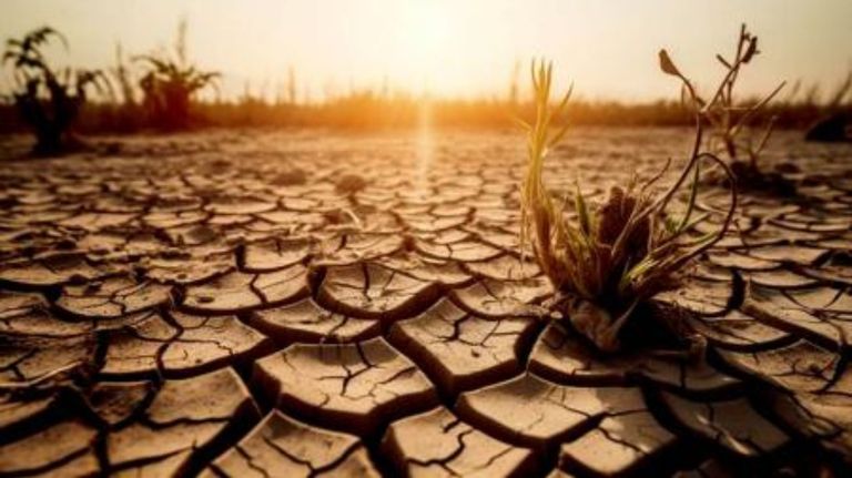 Cambio climático