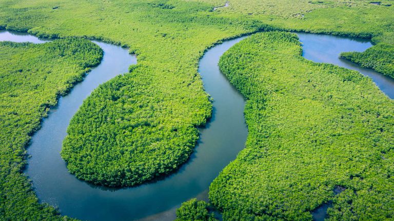 Amazonas