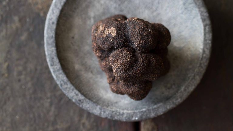 TRUFAS DEL NUEVO MUNDO ||| 20221021