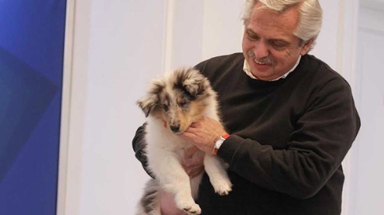 Alberto Fernández y su perro, Dylan, después de Olivos 20231211