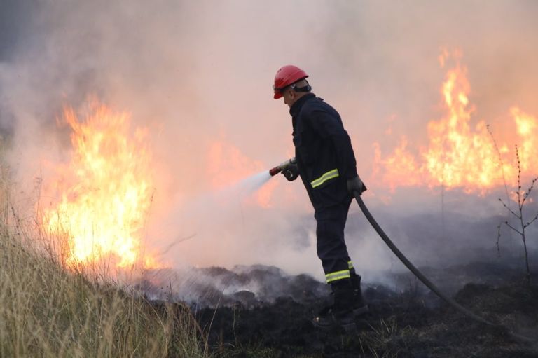 Recomendaciones para evitar incendios forestales.
