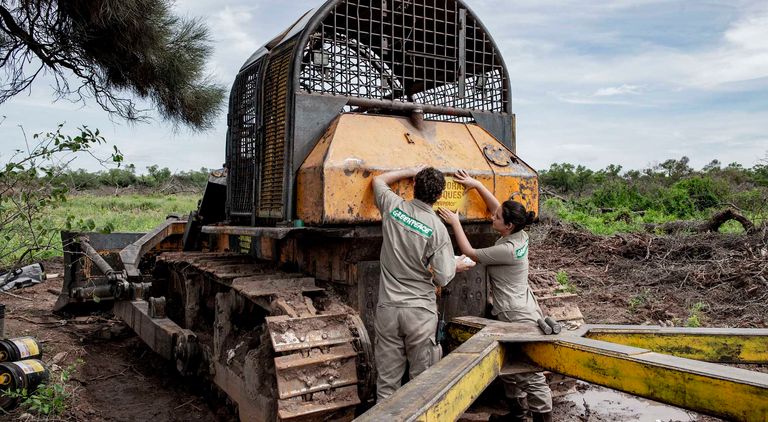 deforestacion chaco 30012019