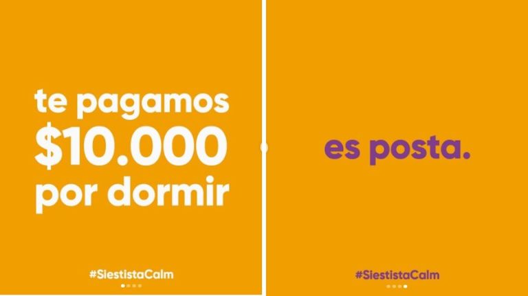 Especialistas en siestas 20221110