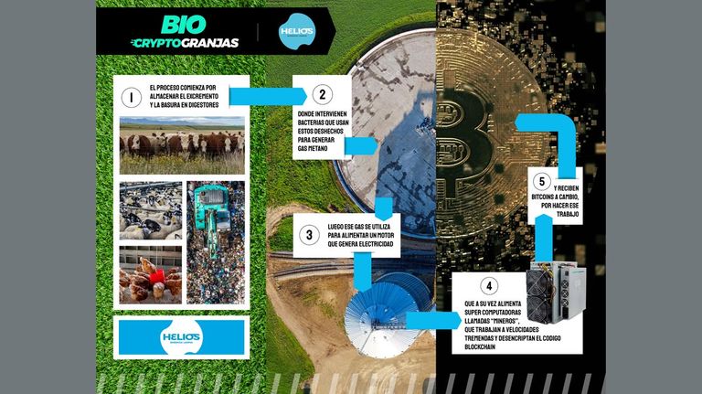Cryptogranjas 20220721