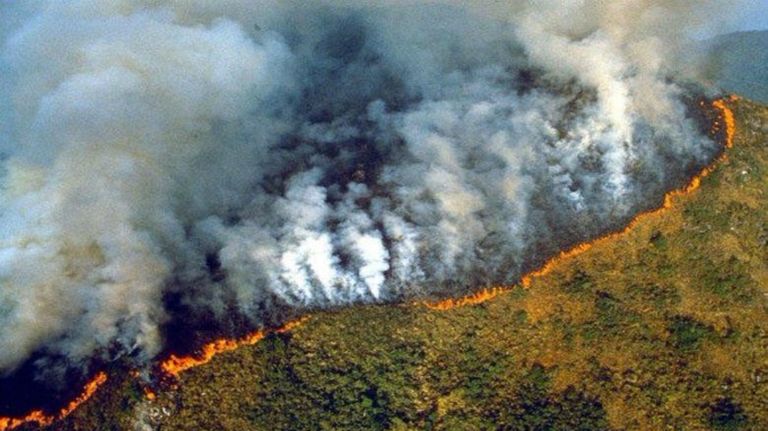 incendio amazonas 08232019