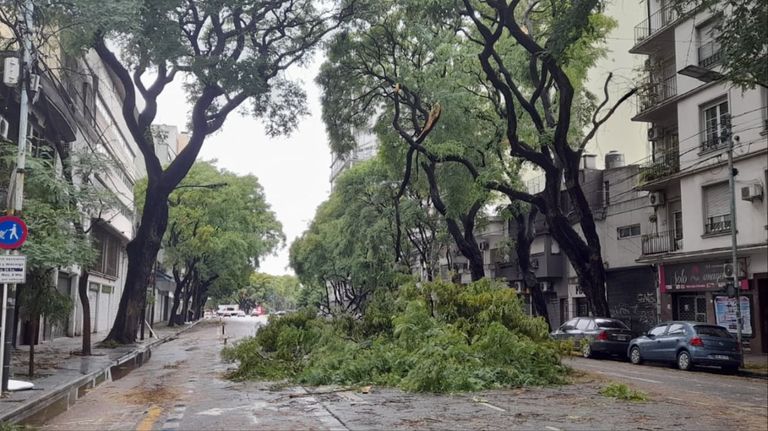 Destrozos temporal CABA 1 g_20231217
