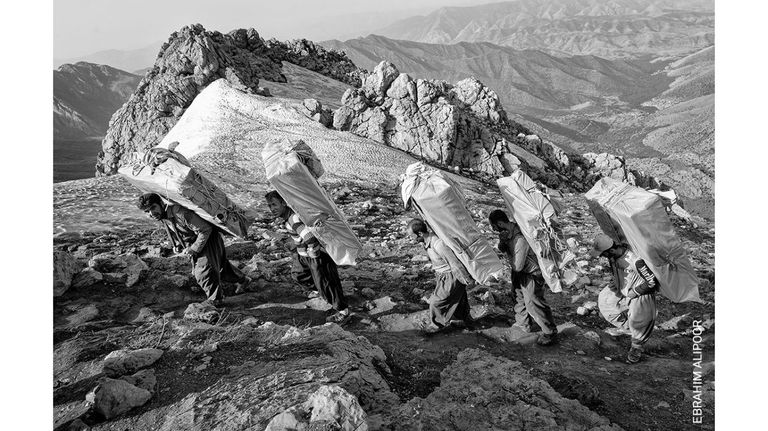 World Press Photo Contest