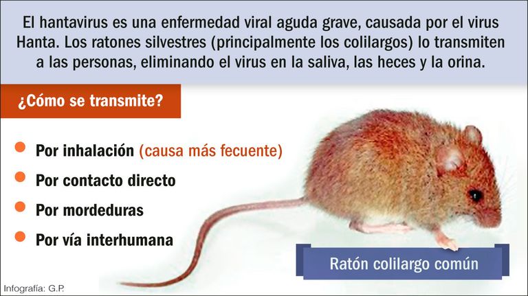 Hantavirus, un problema serio.