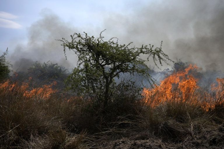 incendios corrientes
