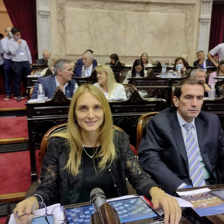 La diputada Brouwer de Koning en el recinto de Diputados