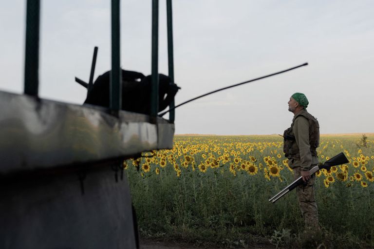 Invasion con drones rusos a polonia 11092025