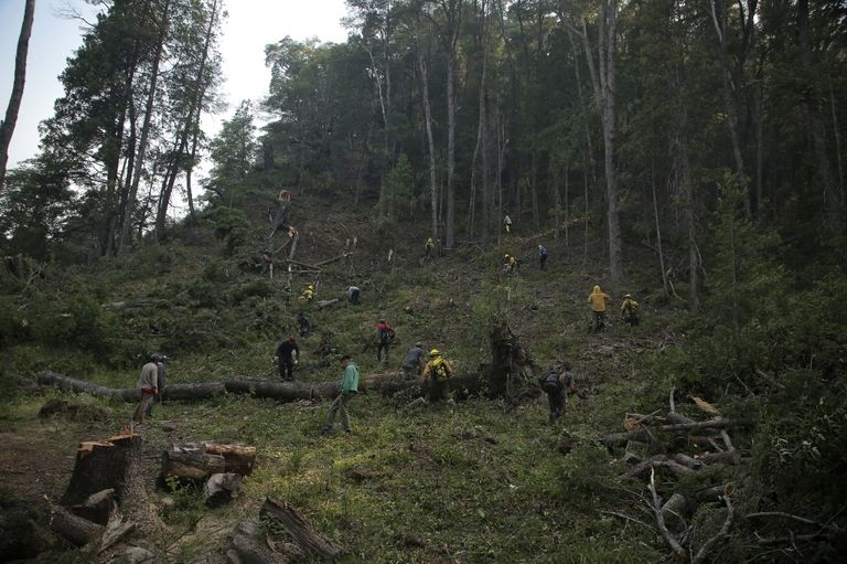 incendios patagonia