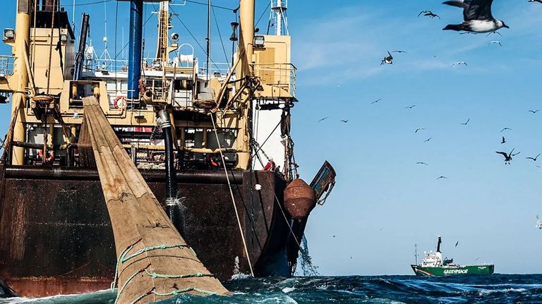 1512_pesca ilegal