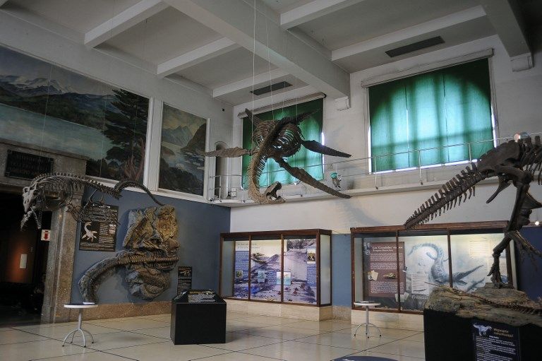 dinosaurio marino calafate afp