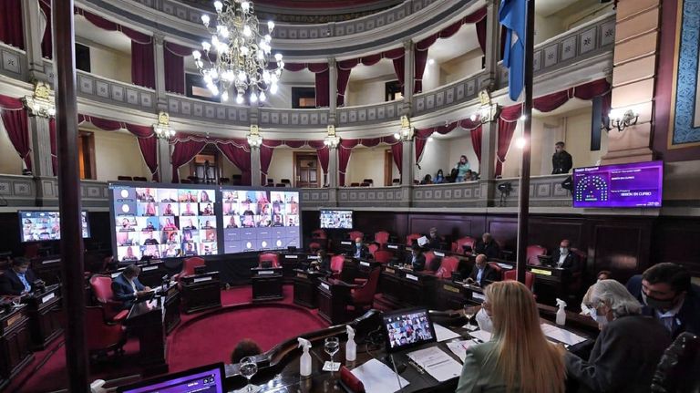 Senado Vacunas Provincia