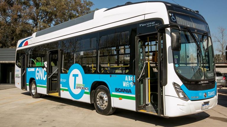 colectivos sustentables 20220802