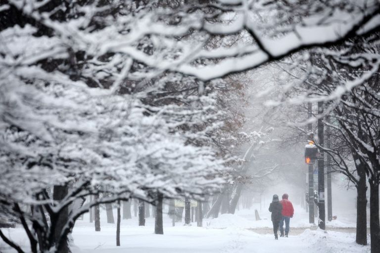 nieve estados unidos
