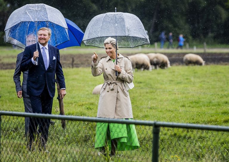 Máxima de Holanda 