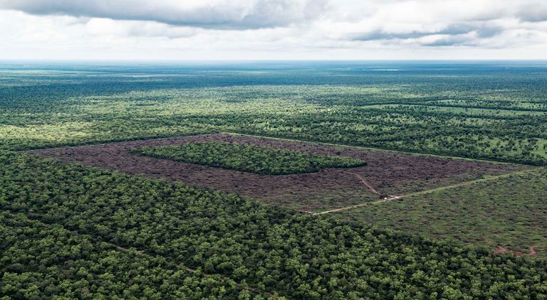 deforestacion chaco 30012019