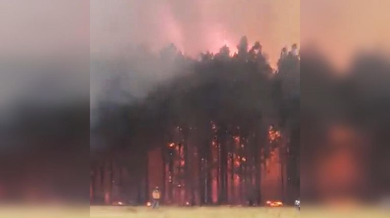 Incendios en Corrientes 20220204