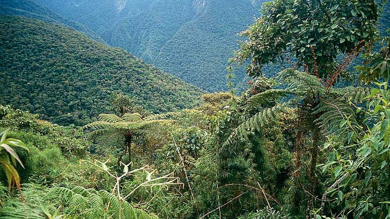 Tucuman en 1816 yungas 08072025