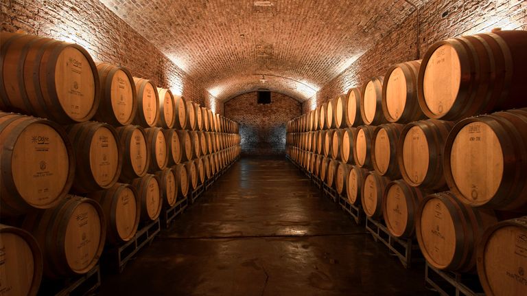 Pascual Toso Bodega Referente
