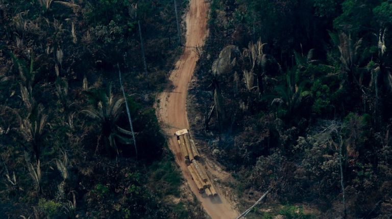 incendio amazonia brasil afp