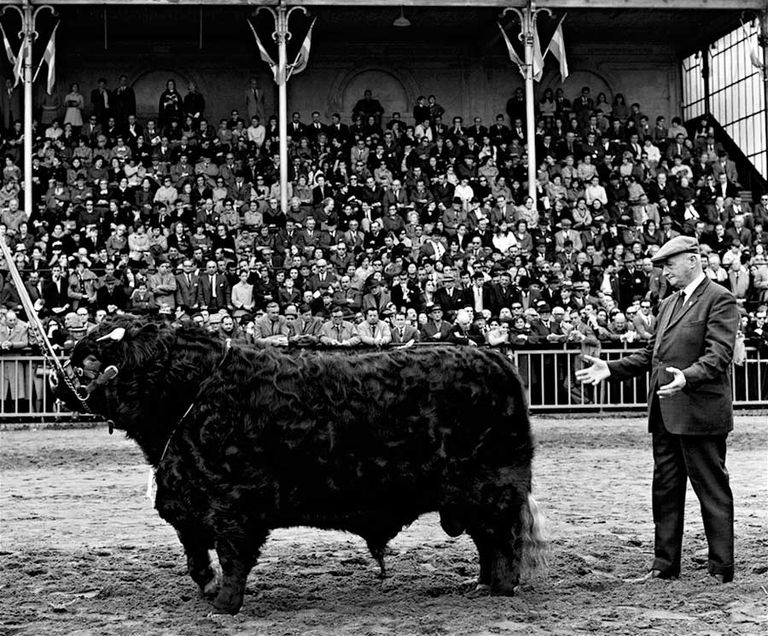 FoLa - Jorge Aguirre