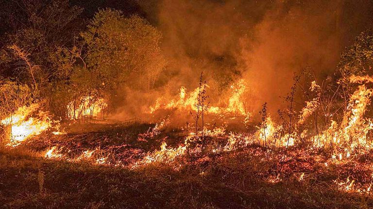 20220226_corrientes_incendios_politica_ambiental_telam_g