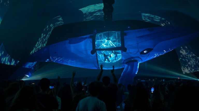 1223_fuerza_bruta