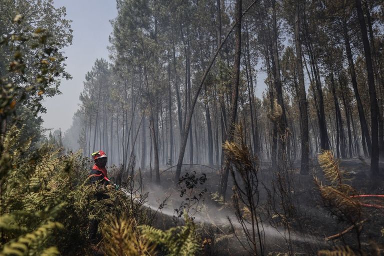 Incendios forestales causados por el calor en Francia