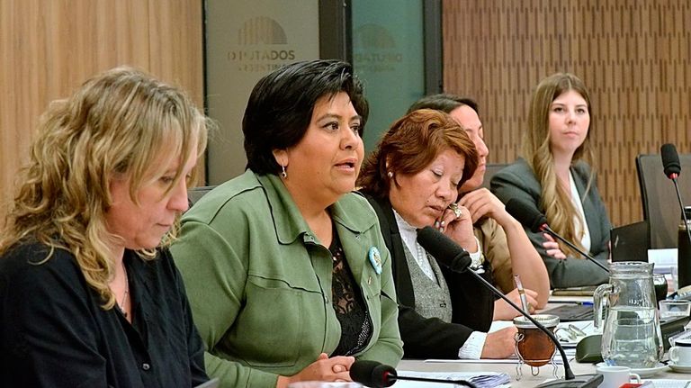 Audiencia definición Defensor del niño 03092025