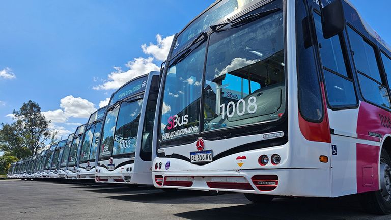 Colectivos nuevos