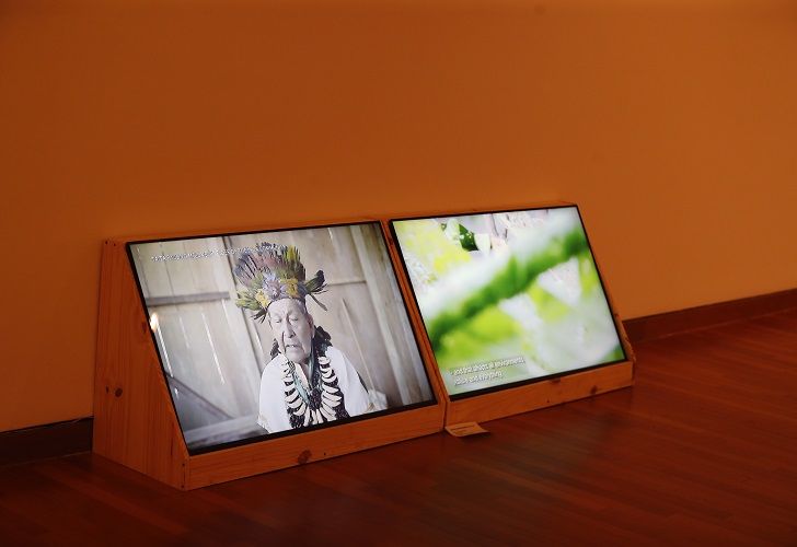 Muestras Bienal