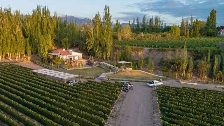Finca Bandini